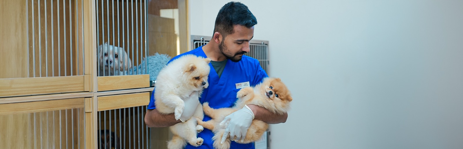 DOG HOTEL