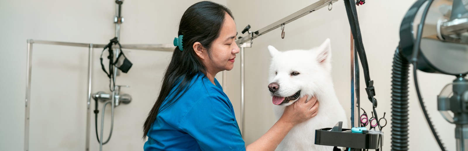 PET GROOMING
